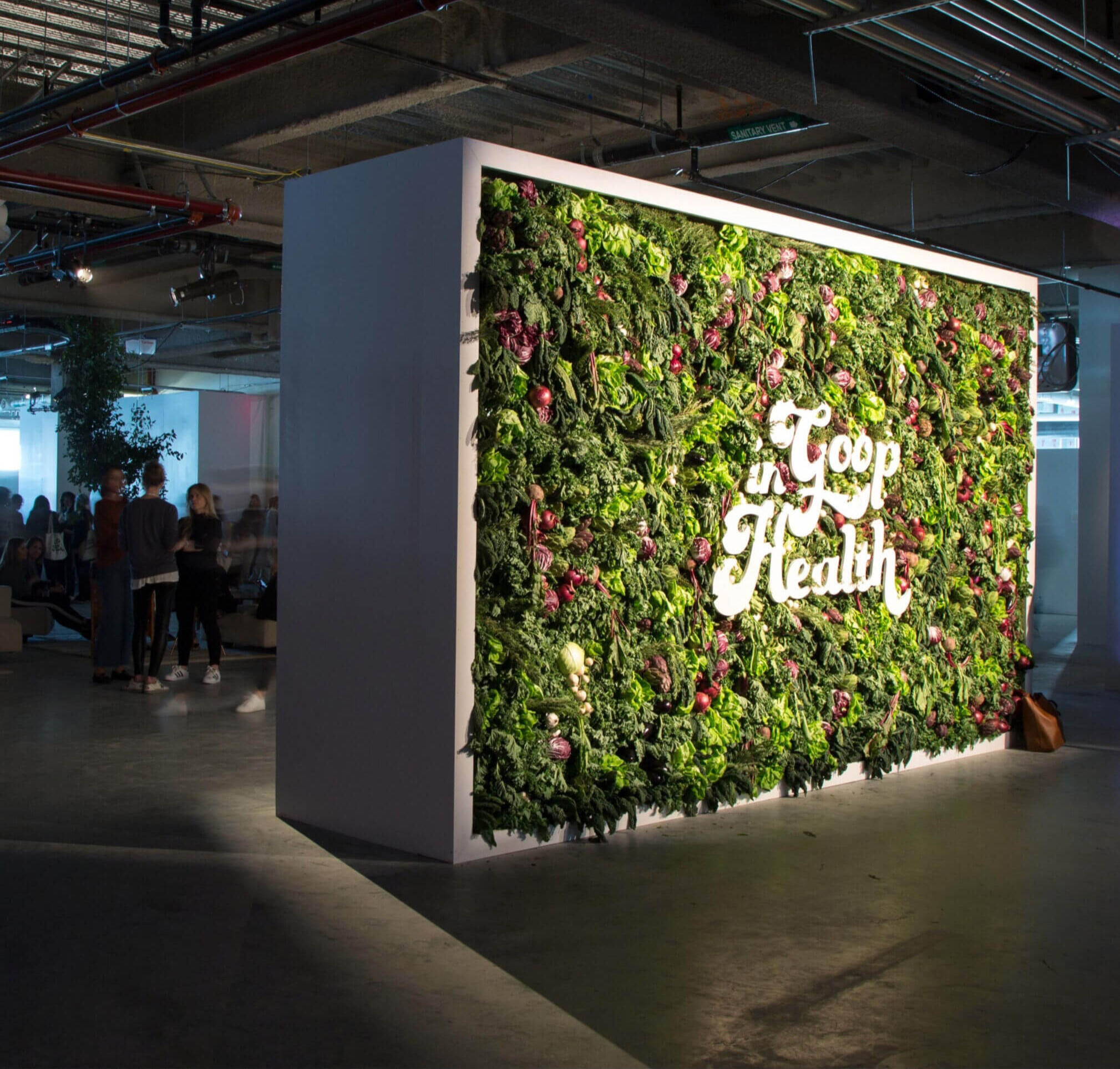 In Goop Health In Goop Health